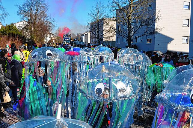 Bild 43: Narrentreffen Albbruck: So viel Spaß macht der große Umzug