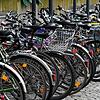 Fahrräder sind an einem Fahrrad-Stellplatz in Freiburg abgestellt. (Symbolbild) Radolfzell soll mehrere neue Radbügel bekommen