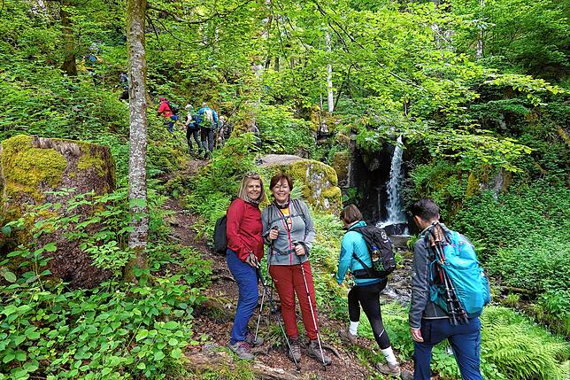 Bild 11: 180 Teilnehmer beim 42-Kilometer-Wandermarathon: Das sind die Bilder