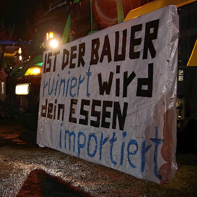 Auch die ungleichen Bedingungen für Landwirte aus dem In- und Ausland waren Thema bei den Stockacher Protesten. Bauern in Deutschland ...