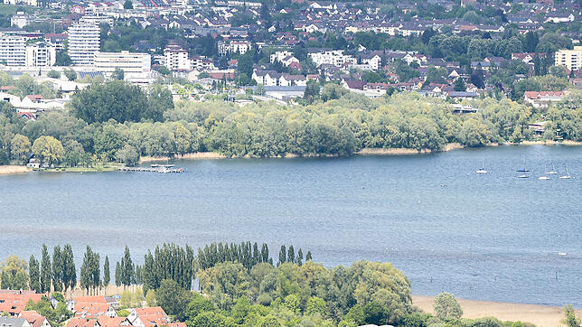 Das Streuhaugebiet vom Schienerberg aus gesehen: Von der Seeseite ist der unberührte Naturzustand des Areals (Mitte bis rechter ...