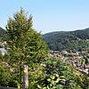 Führen bald 1001 Stufen auf den Höhenzug im Bereich Bergle? Bürgermeister Marcel Schneider und der Gemeinderat sind von dem Projekt ...