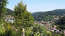 Führen bald 1001 Stufen auf den Höhenzug im Bereich Bergle? Bürgermeister Marcel Schneider und der Gemeinderat sind von dem Projekt ...