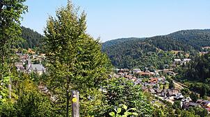 Führen bald 1001 Stufen auf den Höhenzug im Bereich Bergle? Bürgermeister Marcel Schneider und der Gemeinderat sind von dem Projekt ...
