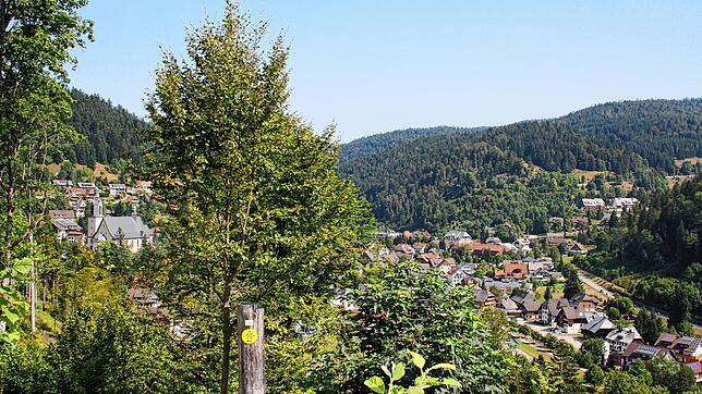 Führen bald 1001 Stufen auf den Höhenzug im Bereich Bergle? Bürgermeister Marcel Schneider und der Gemeinderat sind von dem Projekt ...