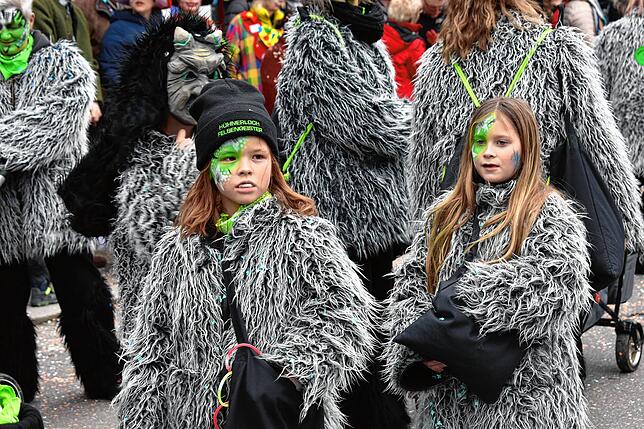 Bild 38: So bunt ziehen die Narren am Sonntag durch Wehr
