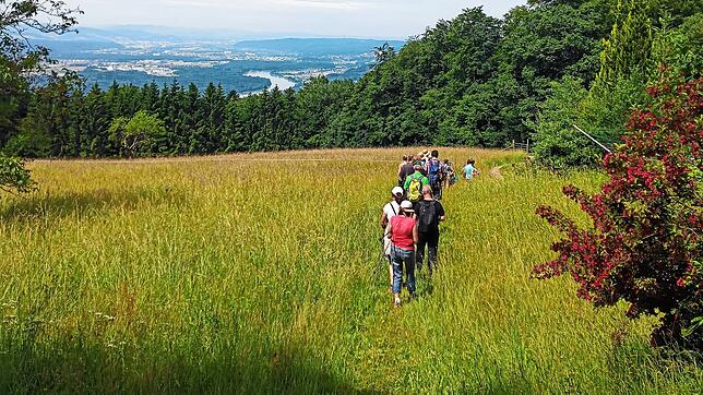 Der Rickenbacher Schwarzwaldverein feiert sein 50-jähriges Jubiläum. Höhepunkt wird die Eröffnung des neuen Premiumswanderweges ...