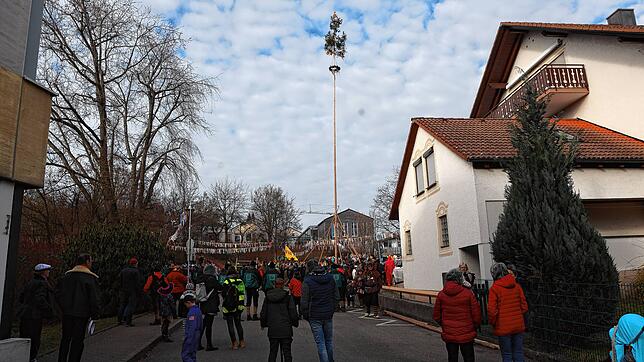 Bild 1: Seenarrentreffen in Dettingen: Auf dem Dorfplatz steht jetzt der Narrenbaum
