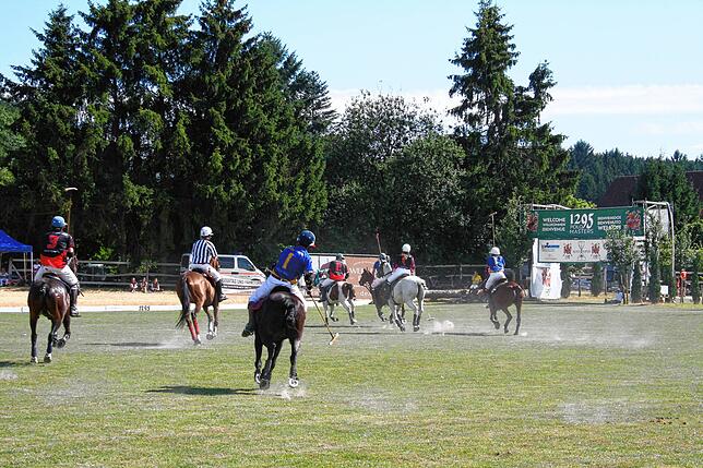 Bild 9: So schön war das Poloturnier in Sylvenstal