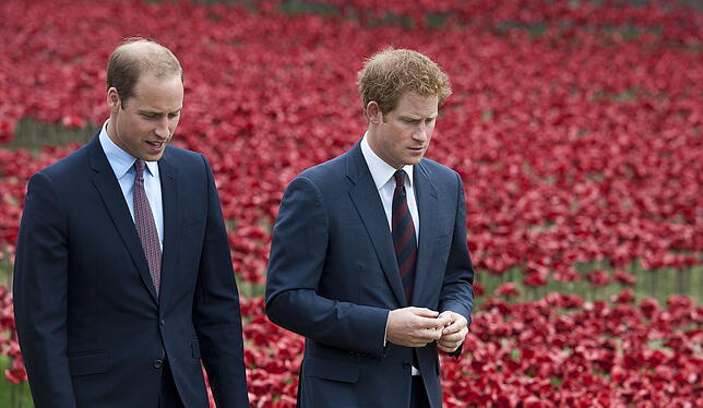 Prinz William (links) und sein Bruder Prinz Harry bei einer Gedenkveranstaltung für die Opfer des Ersten Weltkriegs in London. Der ...