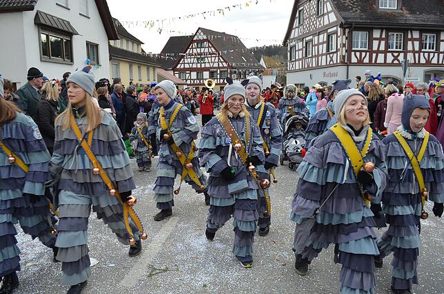 Bild 22: Eigeltinger Narrentage: Der Sonntagsumzug in Bildern (4)