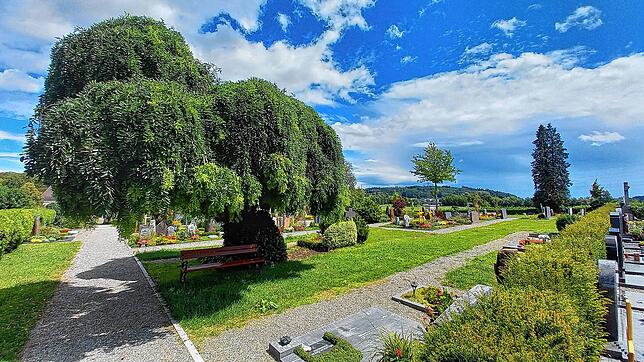 Fast wie eine Parkanlage wirkt der Stockacher Lorettofriedhof. Doch ist der Name zu bedrückend? Ein Kommentator im Internet ist dieser ...