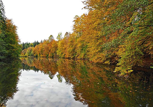 Leserreporter Bernhard Waurick fand dieses Bild beim Spaziergang von Oberuhldingen nach Überlingen-Deisendorf an den Weihern im Wald ...
