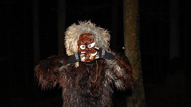 Bild 2: Konstanzer Fasnacht: Bilder vom Fackelumzug durch den Uniwald