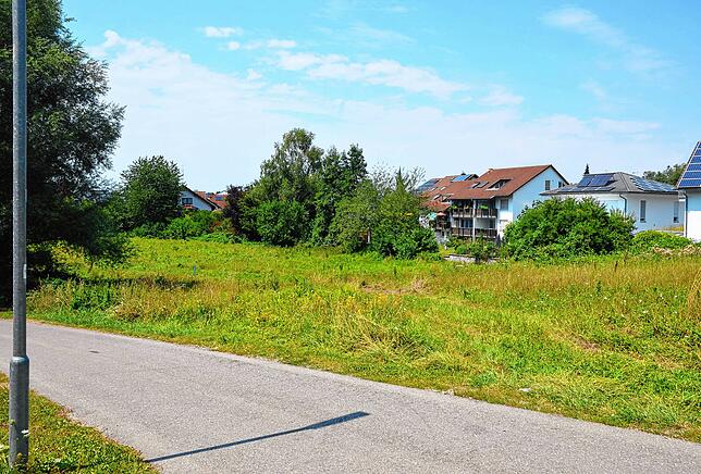 Auf dieser Fläche soll die Grundschule Markdorf Süd entstehen. Hauptamtsleiterin Regina Holzhofer wird dieses Großprojekt begleiten.
