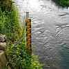 Derzeit sorgt der Wasserstand in der Gemeinde Mühlhausen-Ehingen keineswegs für Sorgen vor einer Überflutung. Doch vor knapp zwei Jahren ...