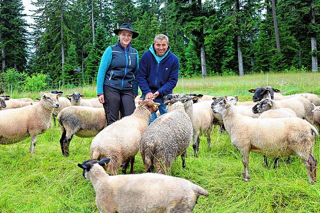 Fabienne Kürner und ihr Vater Ralf aus Bubenbach kümmern sich um 200 Schafe. Im September beginnt für die Tochter in Balingen das zweite ...