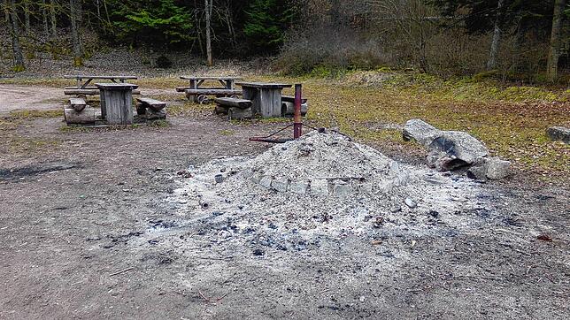 Das Bild vom Sonntag zeigt einen Aschehaufen an der Eichbuckhütte bei Wolterdingen.