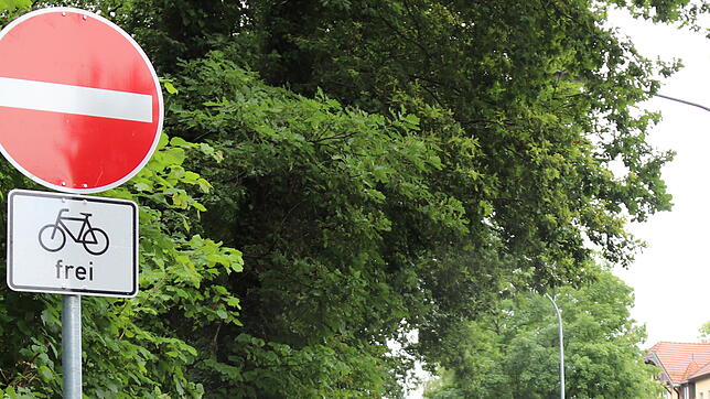 Bild : Umweg zum Hörnle: Neue Verkehrsregelung in der Eichhornstraße ärgert Gastronomen und Gewerbetreibende