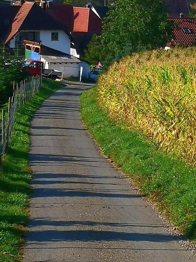 Im Bereich der Hochwaldstraße werden bauliche Maßnahmen erledigt, um gegen Sturzregen gewappnet zu sein.