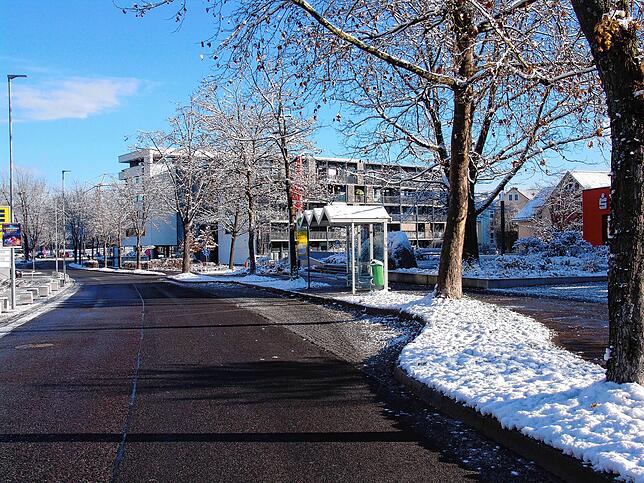 Um die Höchstgeschwindigkeit auf der Schlossseeallee auf 30 Stundenkilometer zu reduzieren, muss die Bushaltestelle in eine Haltestelle ...
