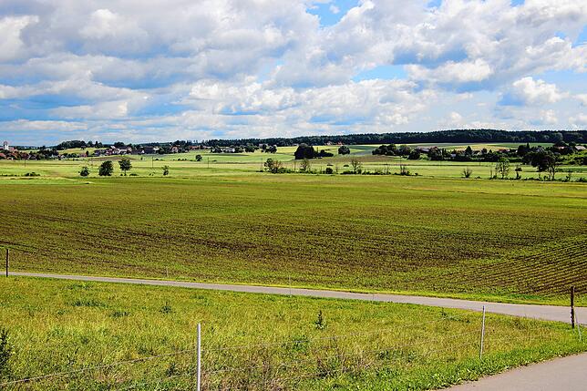 Die sieben Hektar große Fläche in Sauldorf ist eines von zwölf Kiebitz-Kerngebieten in Baden-Württemberg.