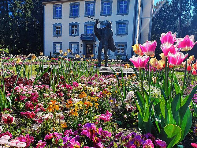 Frühling im Bad Säckinger Schlosspark