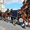 Der Umzug des Donaueschinger Reitturnieres läuft mitten durch die Stadt, wie auf dieser Aufnahme von 2019 bei der Stadtkirche, und wird ...