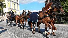 Der Umzug des Donaueschinger Reitturnieres läuft mitten durch die Stadt, wie auf dieser Aufnahme von 2019 bei der Stadtkirche, und wird ...