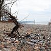 Ein Mann läuft mit seinem Hund an einer trockenen Baumwurzel am Ufer des Überlinger Ostbads vorbei: Im Februar hat es nur wenige Male ...