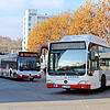 45 Regionalbuslinien fahren im Bodo-Verbundgebiet &ndash; im Bodenseekreis und den Landkreisen Ravensburg und Lindau &ndash; &bdquo;über ...
