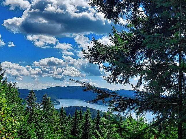Blick auf den Schluchsee vom Wanderweg Jägersteig.