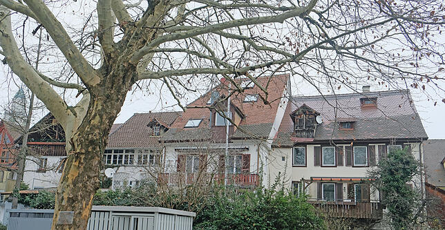 Die Gebäude vom Innenhof hinter den Seeschulen gesehen.