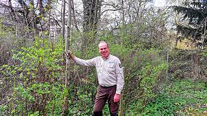 Forstamtsleiter Tobias Kühn präsentiert eine von zwei Roteichen, die im Vorgarten des Forsthauses in der Waldstraße wachsen. Noch sind ...