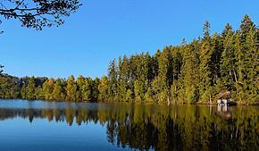 Ein beliebtes Ausflugsziel: Der Schlüchtsee bei Grafenhausen. Laut Gutachten kann derzeit das Risiko eines Dammbruchs nicht ...