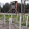 Die jungen Bäumchen werden gegen den Wildverbiss geschützt. Geradezu vorbildhaft hat dieser Waldbesitzer sich gegen den drohenden ...