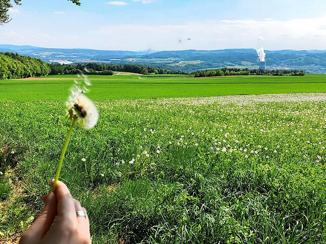 Bild 10: Wandern vor der Haustür (Teil 2): Vom Eschbacher Wasserschloss zum Pusteblumen-Paradies