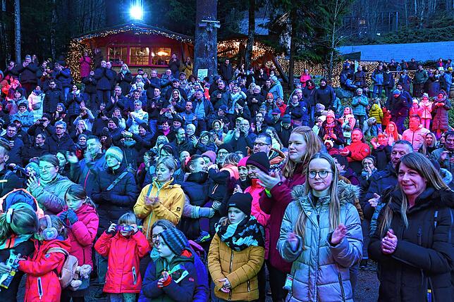 Bild 12: Triberger Weihnachtszauber verzaubert mit einer Million Lichter