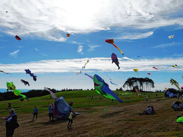 Bild 22: Bilder vom 11. Familien-Drachenfest auf dem Flugplatz in Hütten