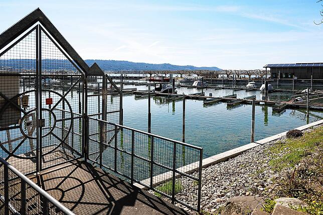 Spärlich genutzter Hafen in Radolfzell: Noch sind wenig Boote auf dem Wasser.
