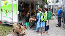 Ein spezielles Angebot für Kinder bietet der Landesjägerverband bei der Landesgartenschau mit seiner Umweltbildungsinitiative ...
