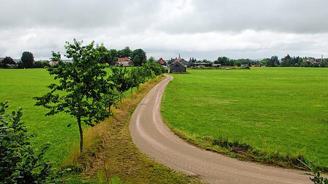 Das neue Baugebiet Loretto von der B31 aus gesehen. Der Weg in der Mitte soll künftig als Fußweg in die Stadt dienen. Im Vordergrund ...