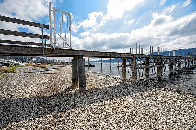 Am Hafen in Ludwigshafen herrscht im April Niedrigwasser.
