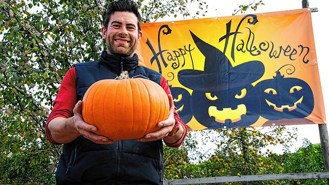 Knackig, rund und saftg muss er sein: Bruno Stotz aus Wirrensegel liefert das perfekte Rohmaterial für Halloween-Kunst und saisonale Küche.