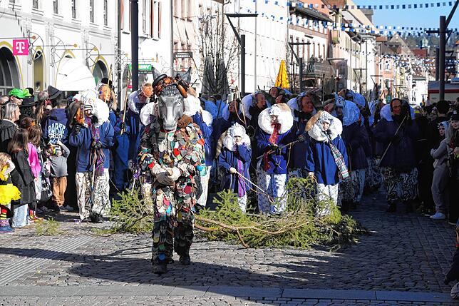 Bild 29: Fasnet in Villingen: So spektakulär war der Umzug 2025!