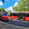 Busse stehen am Waldshuter Busbahnhof und warten auf die Abfahrt. Der Waldshuter Tarifverbund will Autofahrern den Umstieg auf den ...