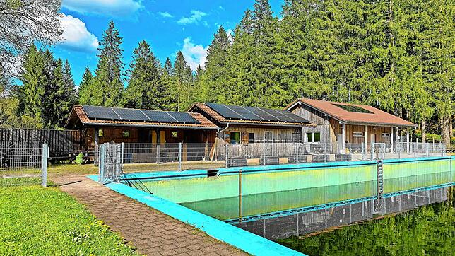 Eine verlängerte Kiosk-Öffnung im Naturschwimmbad Schonach ist geplant. Um den Kiosk herum wurde deshalb ein massiver Zaun errichtet. ...