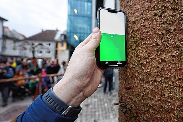 Narrenbaumstellen auf dem Radolfzeller Marktplatz. Bild:Gerald Jarausch