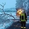 Einsatzkräfte der Feuerwehr Jestetten beseitigen einen Baum in der Rothgasse.