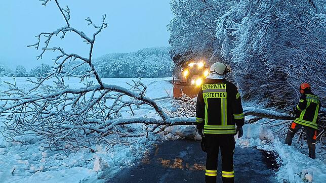 Einsatzkräfte der Feuerwehr Jestetten beseitigen einen Baum in der Rothgasse.